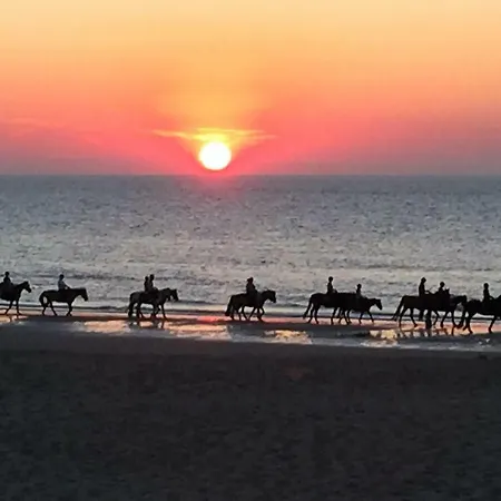 Vakantiehuisjes-vissershuisjes Wenduine